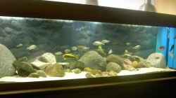 Aquarium Becken 2682