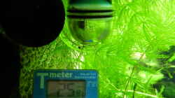 Dauertest und Thermometer