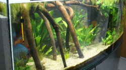 Aquarium Becken 27455 (nur noch als Beispiel)