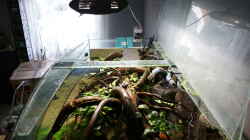 Aquarium Becken 27455 (nur noch als Beispiel)