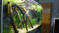 Aquarium Becken 27455 (nur noch als Beispiel)