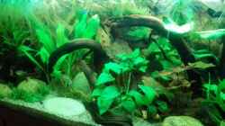 Aquarium Rio 180