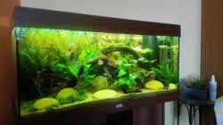 Aquarium Rio 180