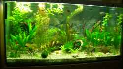 Aquarium Becken 2767