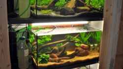 Technik im Aquarium Amazonas Einblicke