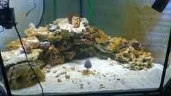 Aquarium Becken 28039