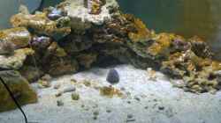 Aquarium Becken 28039