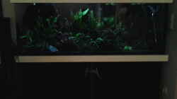 Aquarium amazonas südamerika live