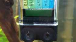 Co2-Dauertest