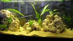 Aquarium Becken 2872