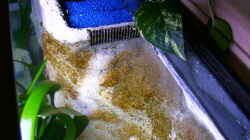 Technik im Aquarium Becken 2878