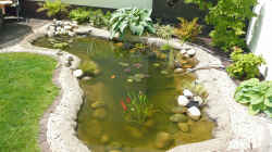 Teich Teich