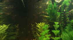 Aquarium Juwel Rio 400