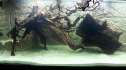 Aquarium Juwel Rio 400
