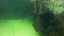Aquarium Juwel Rio 400