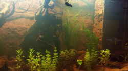 Aquarium Juwel Rio 400