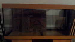 Rückwand eingeklebt