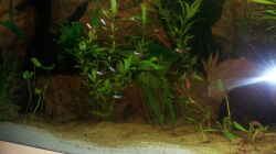 Aquarium Juwel Rio 400