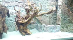Aquarium Juwel Rio 400
