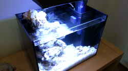 Aquarium neues Projekt...Nano Reef