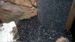 Dekoration im Aquarium Becken 29837
