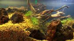 Aquarium Chao phraya