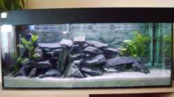 altes 160 L Becken