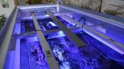 Technik im Aquarium Lake Malawi 2.0