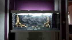 Dekoration im Aquarium Rio 400 Black & White