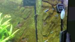 Aquarium Vision Becken