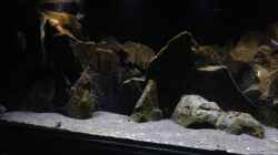 Aquarium aufgelöst ....the_HEART_of_ AFRICA.....
