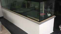 Aquarium aufgelöst ....the_HEART_of_ AFRICA.....