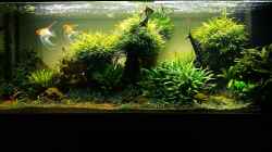 Aquarium Easy Scaping (nur noch Beispiel)