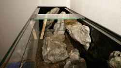 Bilder aus ´Erstgestaltung´