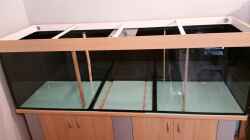 Becken frisch geklebt