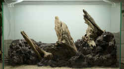fertiges Hardscape