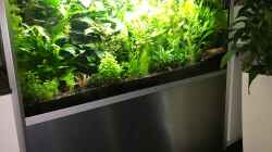 Aquarium Meins