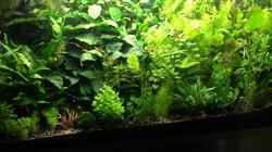Aquarium Meins