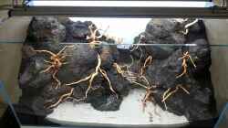 Dekoration im Aquarium Am Ende des Flusses