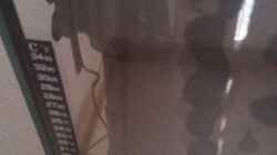 Die Aquael Pumpe im HMF