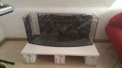 Das noch uneingerichtete Aquarium auf dem selbst gebauten Unterschrank