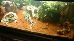 Aquarium Becken 32009