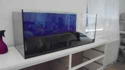 Aquarium Becken 32068