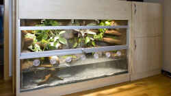 Aquaterrarium mit Technikschrank