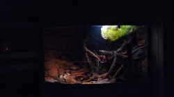 Aquarium 190er Roots & stones