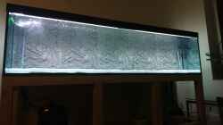 Aquarium AulonocaraReef