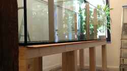 Aquarium AulonocaraReef