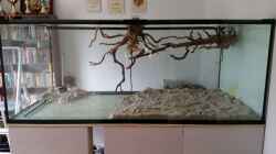 Dekoration im Aquarium Fluss-Monster (Nur noch als Beispiel)