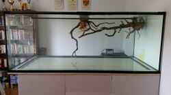 Dekoration im Aquarium Fluss-Monster (Nur noch als Beispiel)