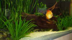 Becken 29.06.2007